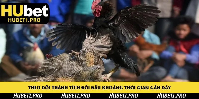 Theo dõi thành tích đối đầu khoảng thời gian gần đây
