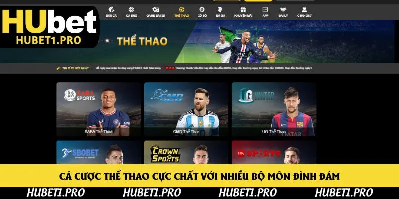 Cá cược thể thao cực chất với nhiều bộ môn đình đám