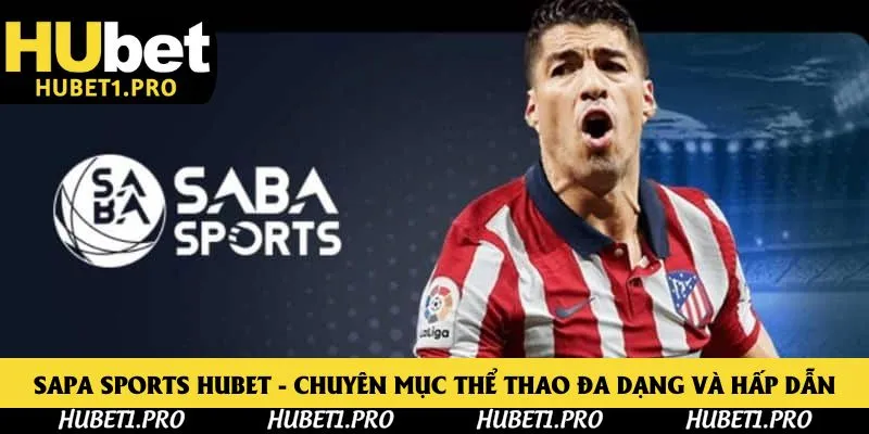 Sapa Sports Hubet