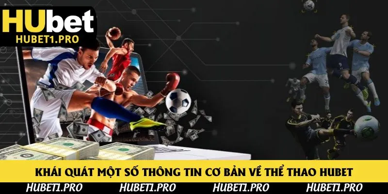 Khái quát một số thông tin cơ bản về thể thao Hubet