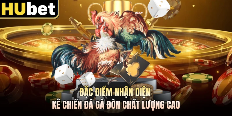 Đặc điểm nhận diện kê chiến đá gà đòn chất lượng cao