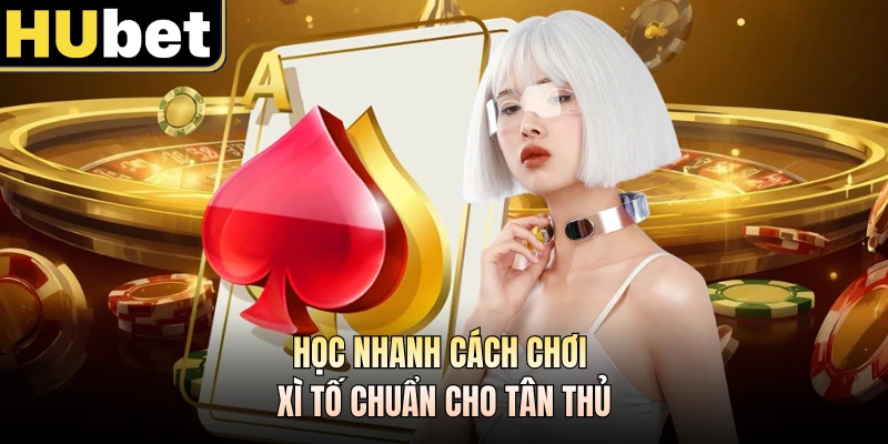 Học nhanh cách chơi xì tố chuẩn cho tân thủ