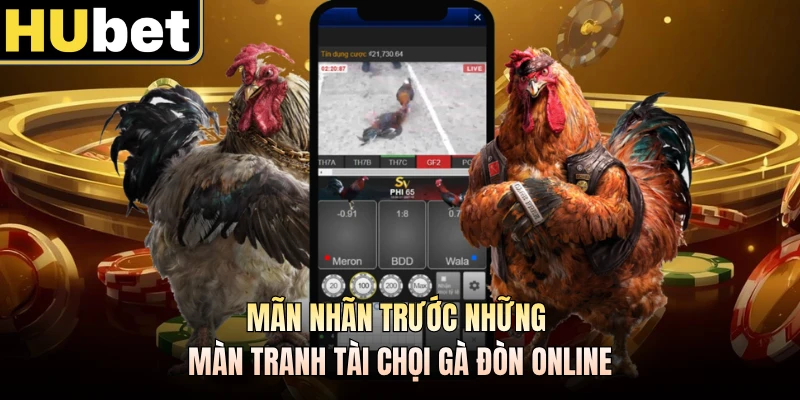 Mãn nhãn trước những màn tranh tài chọi gà đòn online